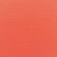 5415 Canvas Melon